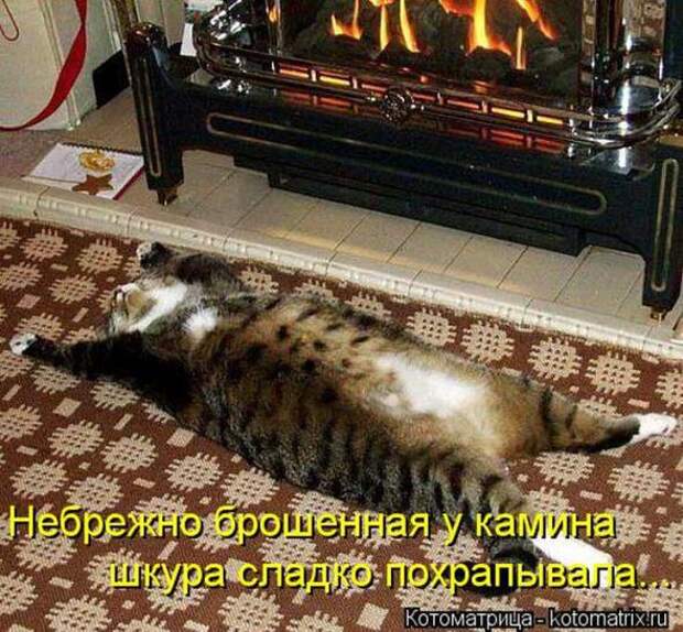 Котоматрицы(картинки с надписями)
