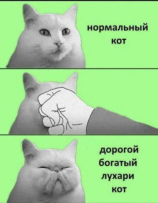 Прикольные картинки абавсём:D