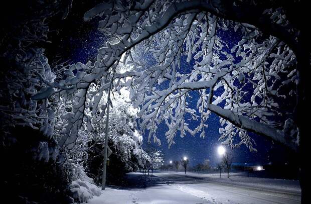 winterbeauty58