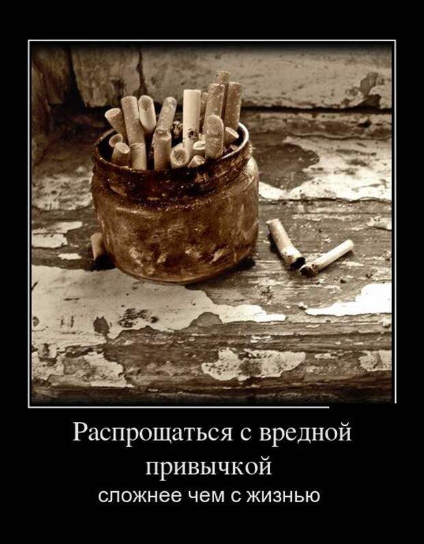 Демотиваторы (30 фото)