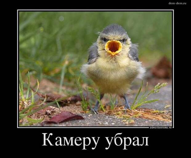 20 демотиваторов дня от 17-05-2014