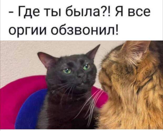 Смешные мемы (15 фото)