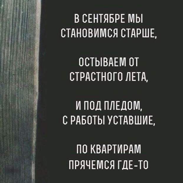 Подборка смешных и жизненных картинок с надписями (11 фото)