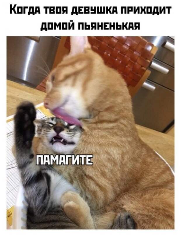 Фото-приколы дня