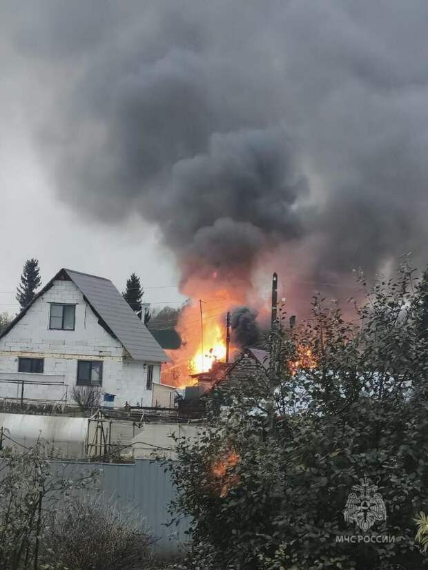 Фото: МЧС Алтайского края