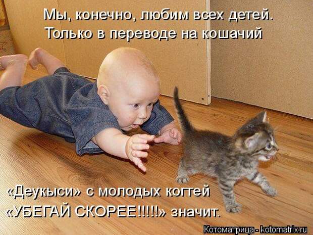 Котоматрица: Мы, конечно, любим всех детей. Только в переводе на кошачий «Деукыси» с молодых когтей «УБЕГАЙ СКОРЕЕ!!!!!» значит.