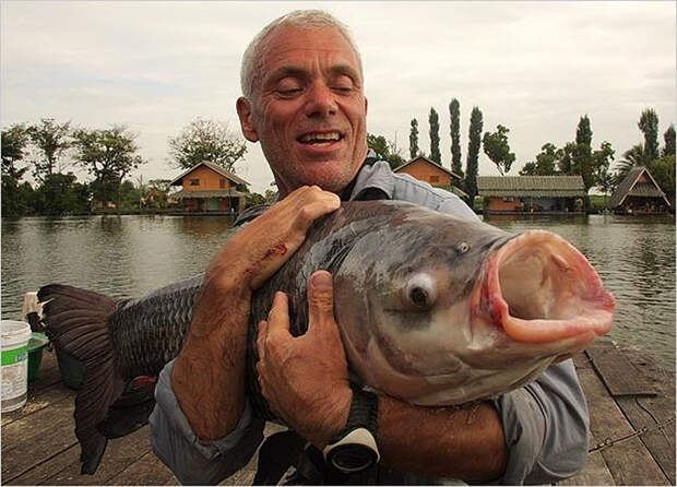 Речные монстры - вот это улов 629 20 самых удивительных речных монстров