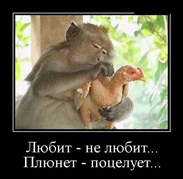 Забавные демотиваторы про женщин и не только (11 фото) Забавные демотиваторы про женщин и не только (11 фото)