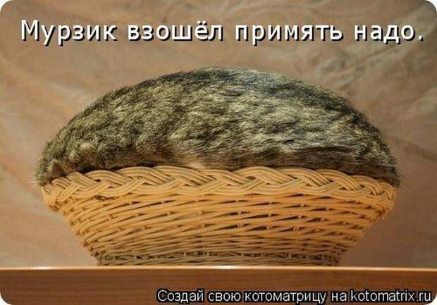 Мысли вслух :)