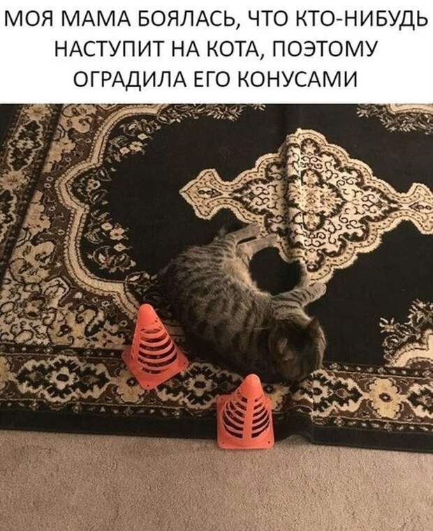 Анекдоты дня (9 шт)