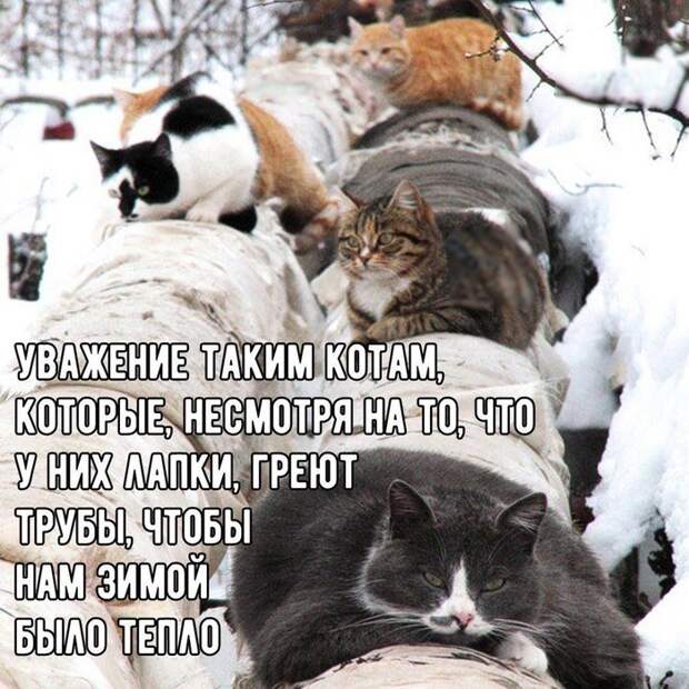 00Uy7SukWkAZetO (700x700, 126Kb)