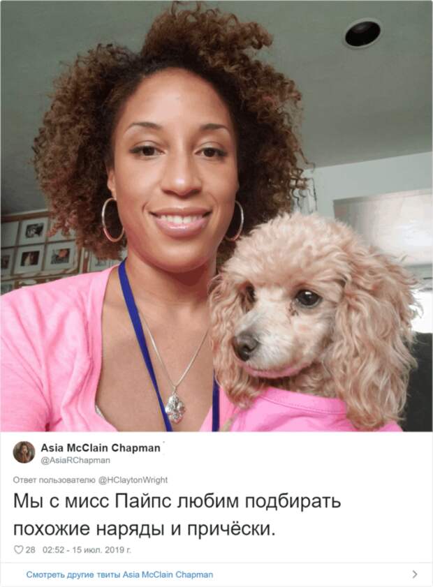 Sдин в один питомцы и их владельцы похожие друг на друга как две капли воды