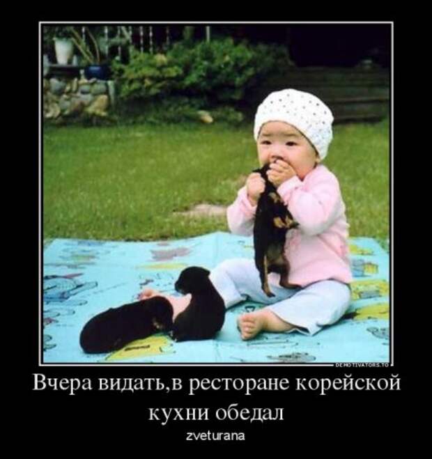 Демотиваторы они опять с нашими комментариями.