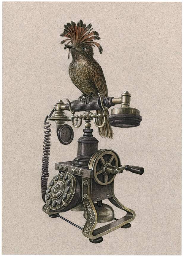 TELEPHONE-1.jpg TELEPHONE-1.jpg