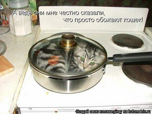 Мысли вслух :)