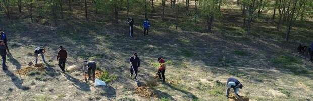 120 кубометров мусора вывезли после субботника в Бейнеу