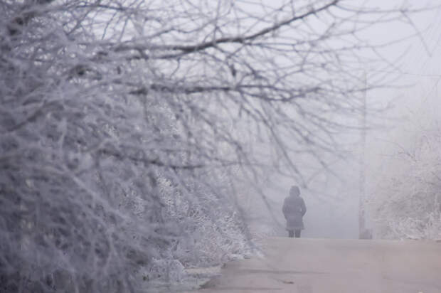 Метель, гололëд и сильный ветер: новый удар стихии накроет Крым 2 февраля