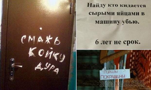 17 жизненных фотографий о сложных взаимоотношениях с соседями