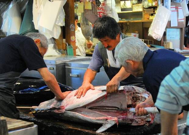 Самый большой рыбный рынок в мире интересное, рынок, япония