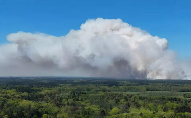 Крупный пожар вспыхнул на артиллерийском полигоне в Нидерландах