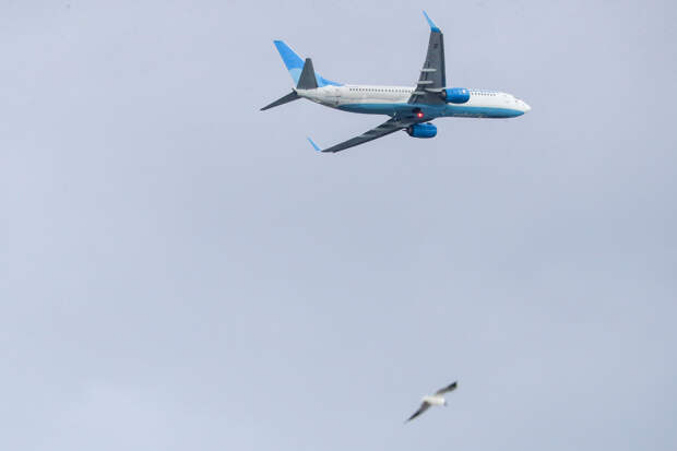 Российская авиакомпания запустила распродажу билетов со скидками до 20 процентов