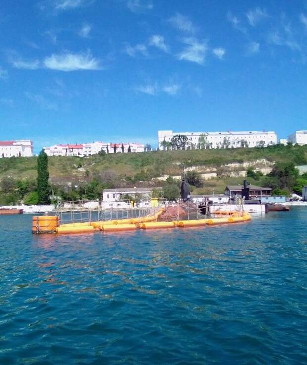 Военно-морские фантазии Зеленского и реальность