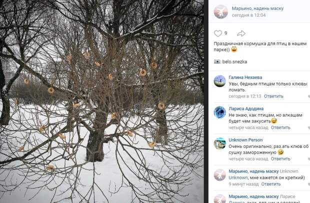 Фото дня: кормушка для птиц из сушек появилась в Марьине