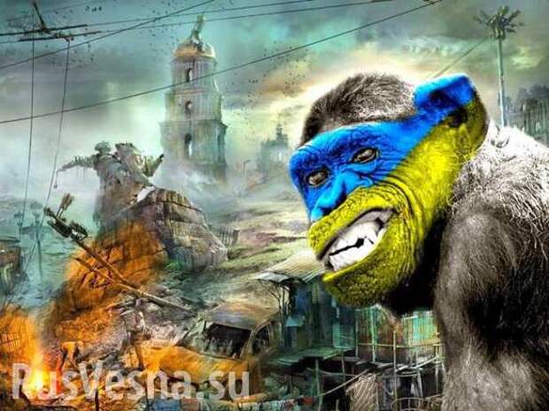 Дрессированные обезьяны украинства (ВИДЕО) | Русская весна