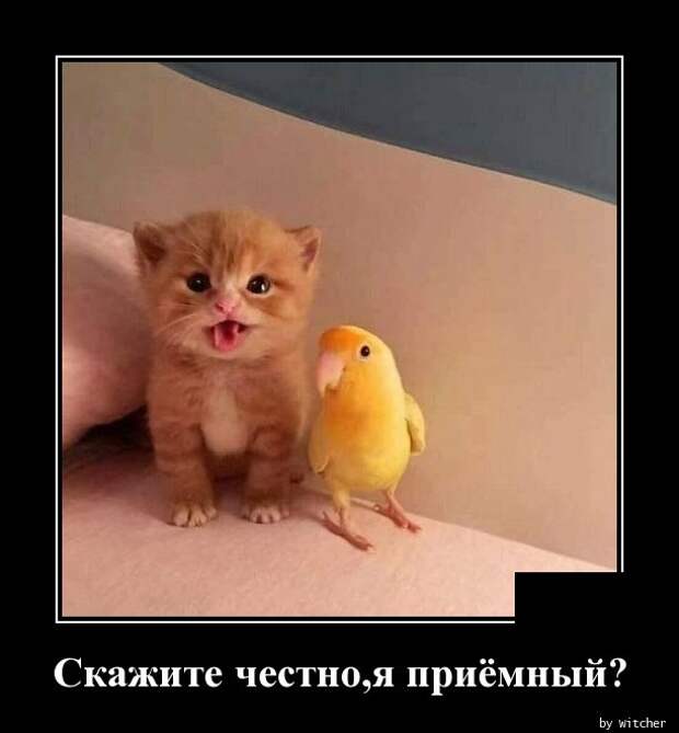 www.vsyako.net