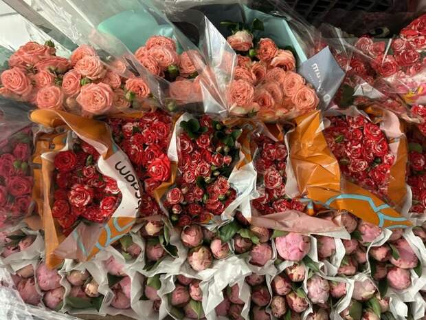 Больше 7 тысяч зараженных цветов не пустили в Петербург с начала года