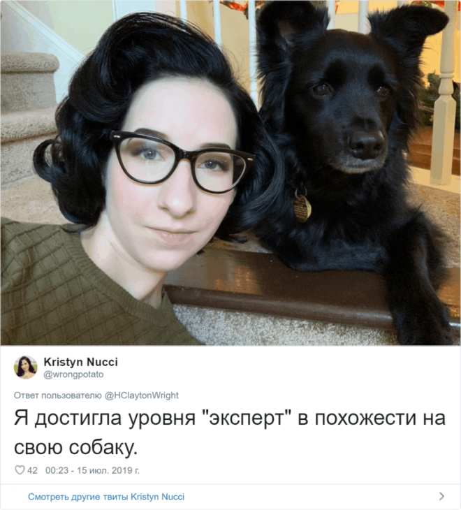 Sдин в один питомцы и их владельцы похожие друг на друга как две капли воды