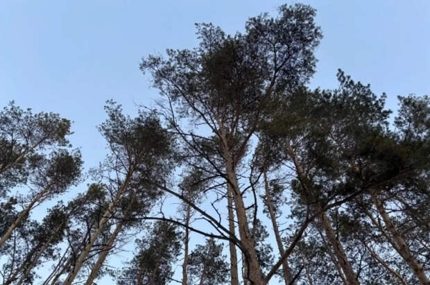 В ЛНР направят 7 млрд рублей на экологическую безопасность региона