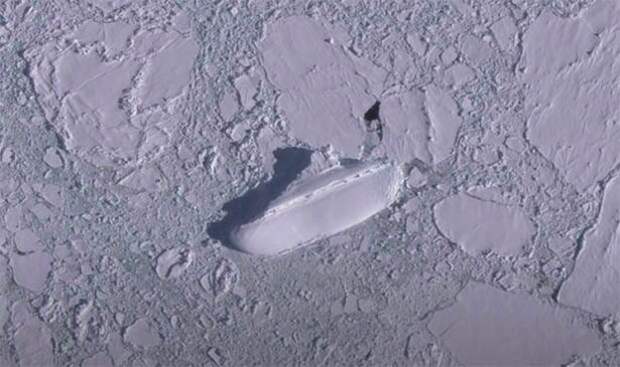 У берегов Антарктиды обнаружили огромный «ледяной корабль»