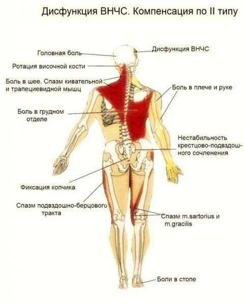 Как прикус влияет на головную боль