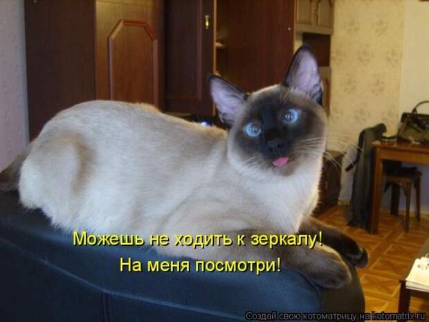 Мысли вслух :)
