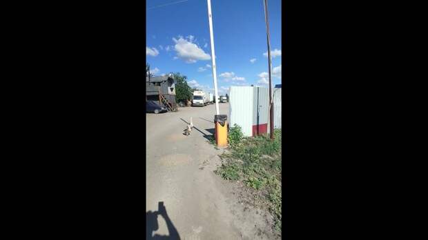 Video: Видео от Донецкая группа новостей|Донецк.ДНР