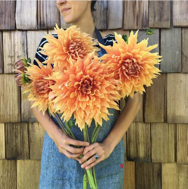 The photo comes from Floret Flowers in Mount Vernon, Washington.