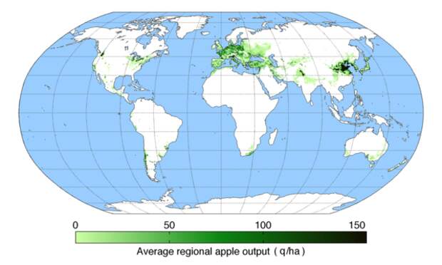 Килограмм яблочной продукции на гектар по миру. 