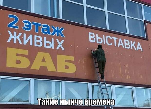 Подборка прикольных фото №2111 (40 фото)
