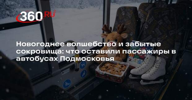 Пассажиры Мострансавто забыли около ста вещей на новогодних праздниках