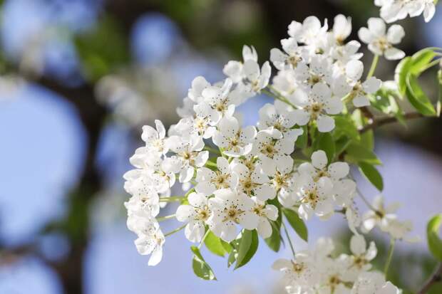 В Тульской области в выходные потеплеет до +18 градусов