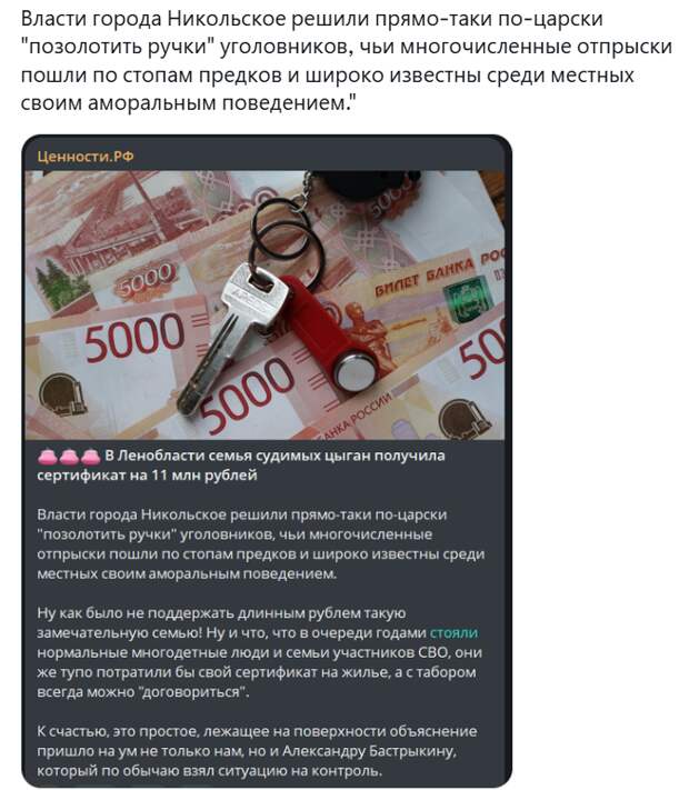 В Ленобласти расследуют случай выдачи сертификата на жильё многодетным судимым цыганам