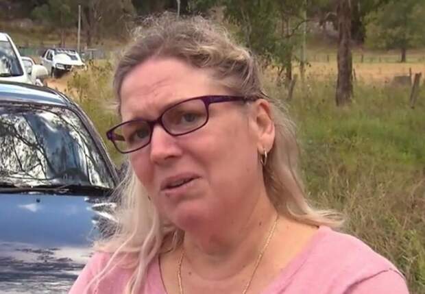 Трехлетняя девочка потерялась в лесу; полицейская операция не принесла результата. Спасителем малышки стал старый полуслепой пес