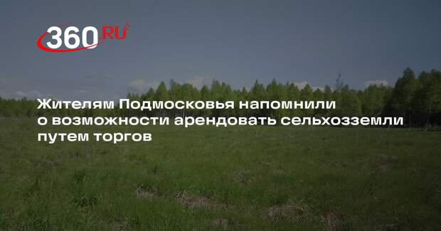 Жителям Подмосковья напомнили о возможности арендовать сельхозземли путем торгов