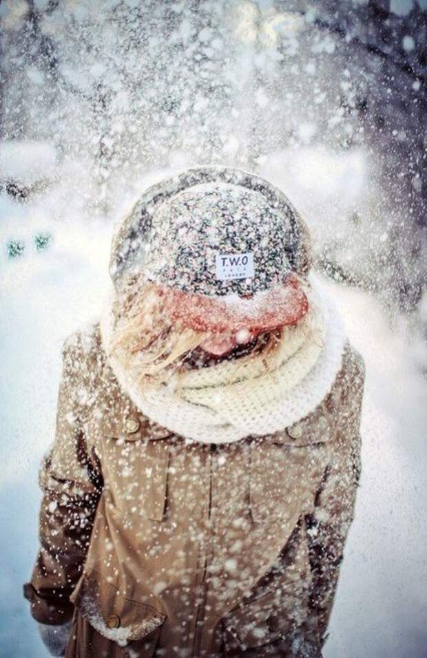 Скамейка под снегом. It always snow. Падающий снег гиф. It always snow. Тигр мем.