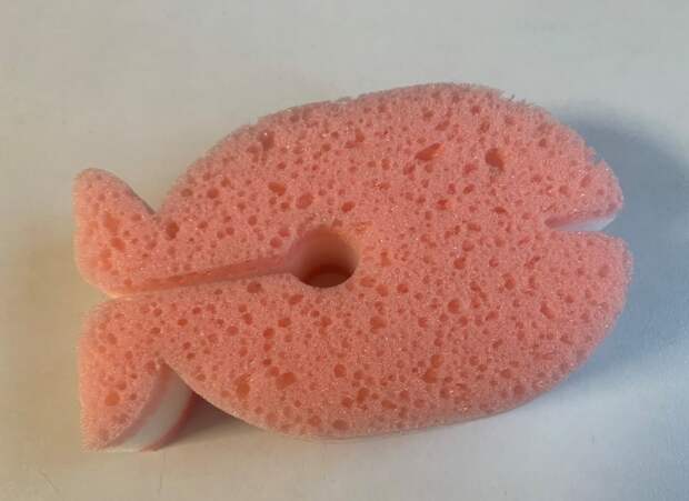 Губка Губка