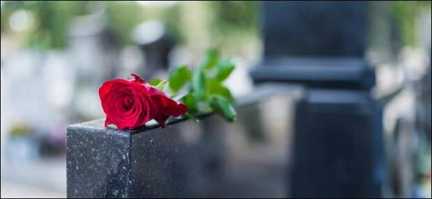 Rose on a tombstone