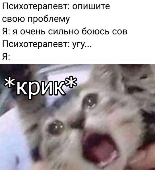 kartinok-interesnyh-prikolnyh-kartinki-smeshnye-kartinki-fotoprikoly