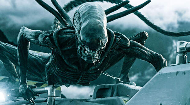 Рыбаки выловили странное существо «из ужастиков» (ФОТО, ВИДЕО)