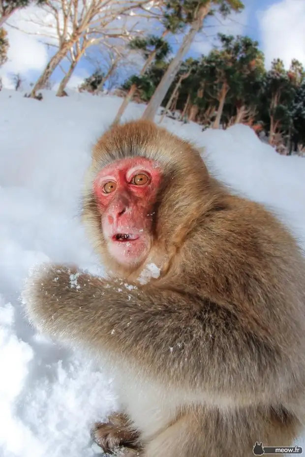 Кездейсоқ оны есекке тығып алды